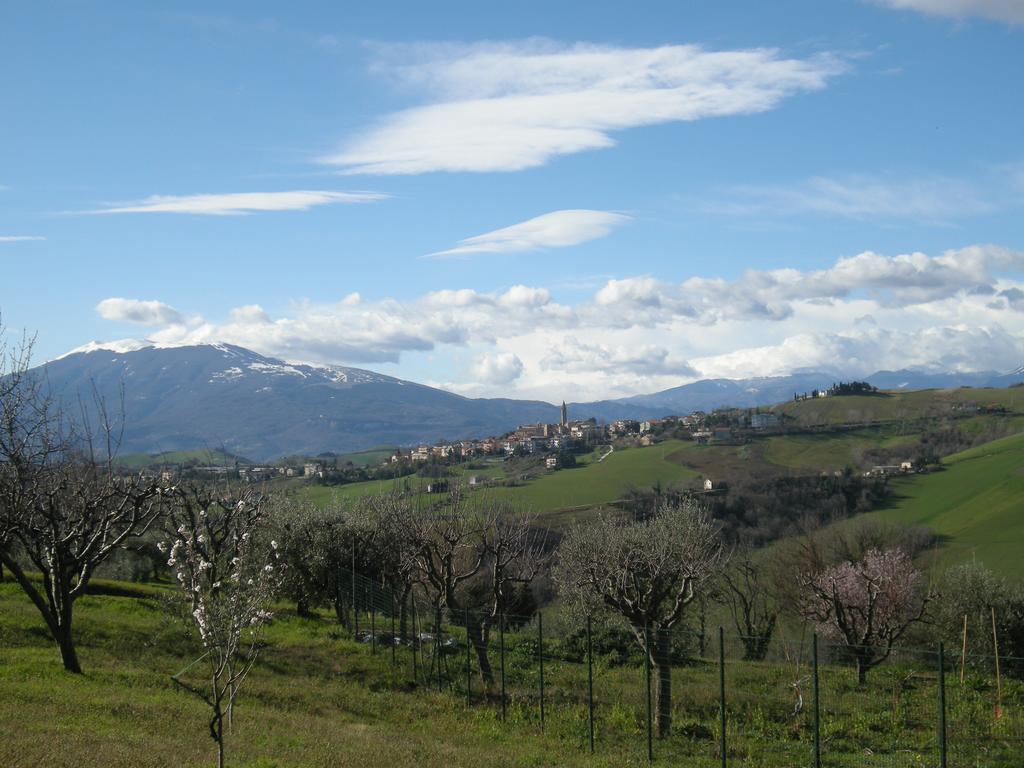Bed And Breakfast San Martino Castignano 外观 照片